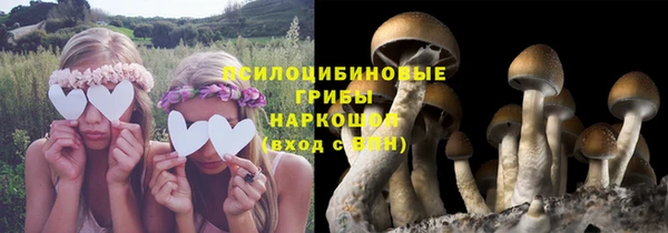 MDMA Белокуриха