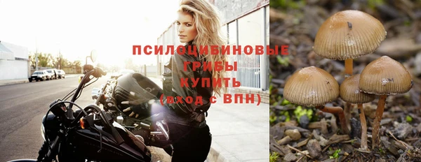 MDMA Белокуриха