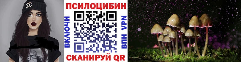 Галлюциногенные грибы Psilocybine cubensis  Купить  Бронницы 